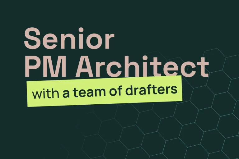 Senior PM Architect (with a team of drafters)