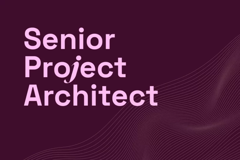 Senior Project Architect